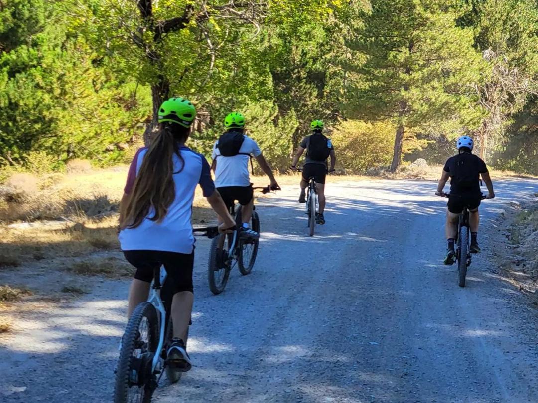 Сьерра-Невада