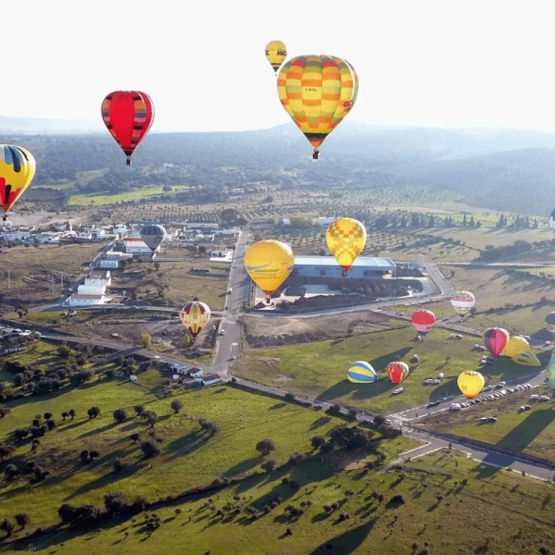 Университет Эворы