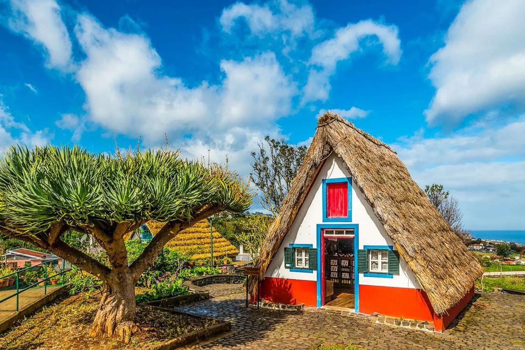 Пико-ду-Ариэйру