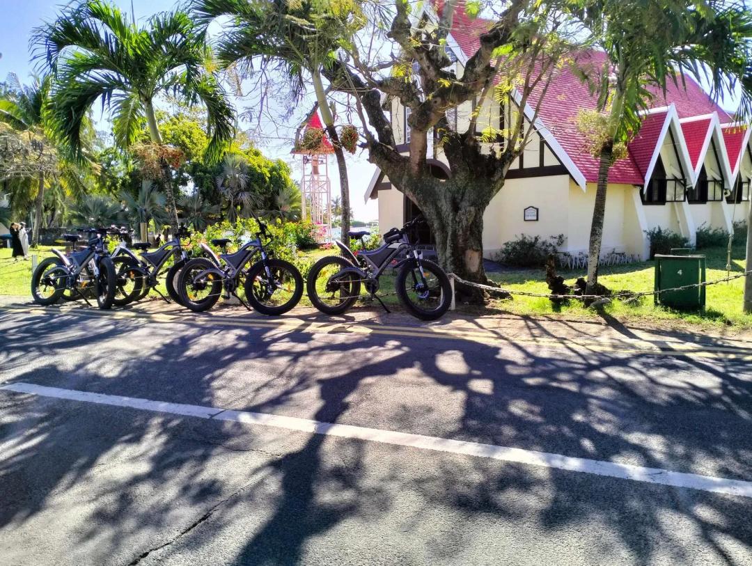 Поездка по Северному побережью