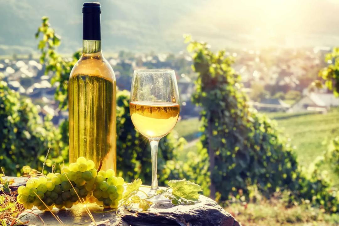 Route des Vins d'Alsace