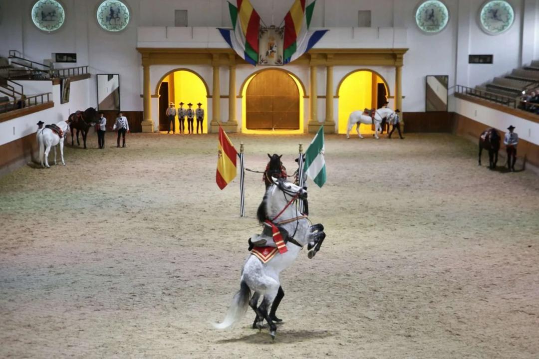 Королевская Андалусская школа конного искусства